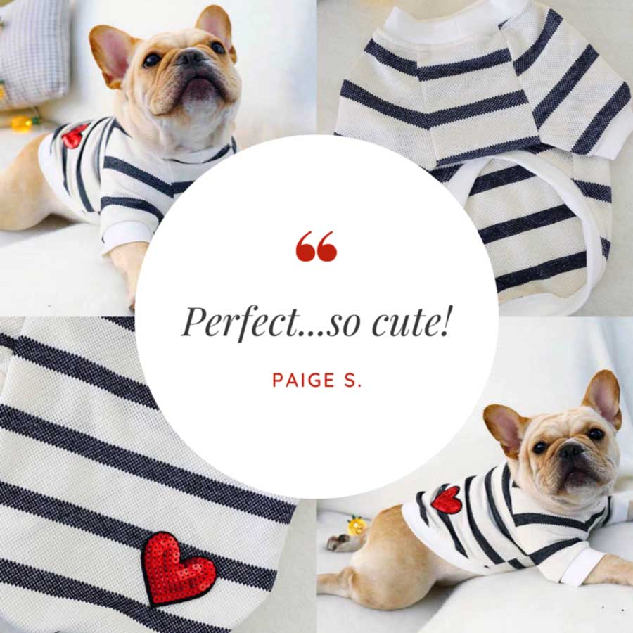 Customer Quote: Perfect...so cute! Written by Paige S. Heartbeat Dog Sweater from online dog clothing store they made me wear it.