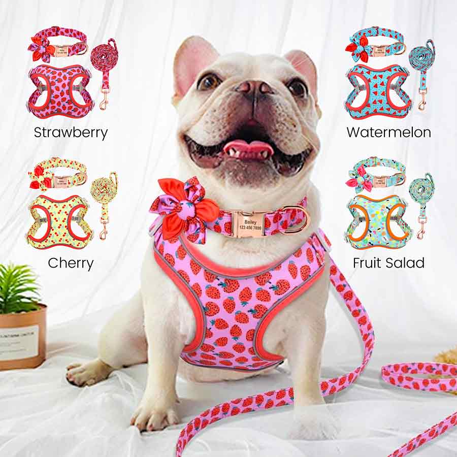 Adorable French Bulldog wearing Strawberry Delight Yummy Dog Matching Harness, Collar & Leash Set from online dog clothing store they made me wear it. Also available in 3 other prints: Sweet Watermelon, Cherry Pop and Fruit Salad.