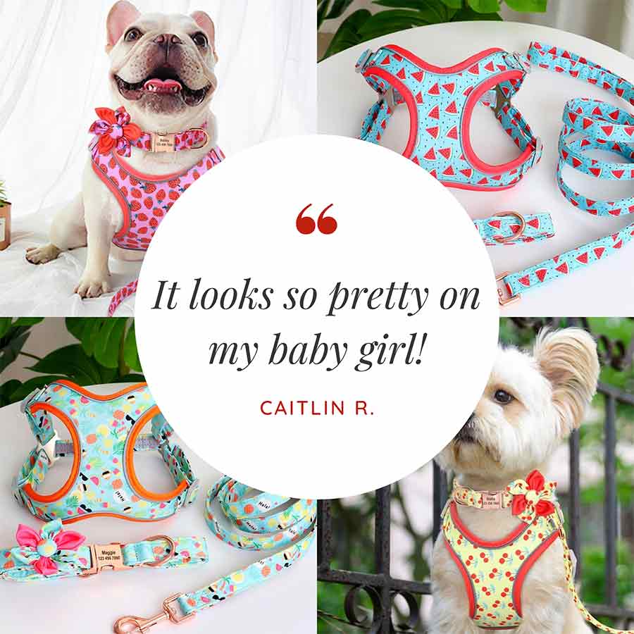 Customer Quote: It looks so pretty on my baby girl! Written by Caitlin R. Yummy Dog Harness & Collar Set from online dog clothing store they made me wear it.