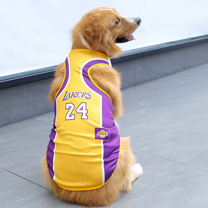 Golden Retriever sitting down and wearing Los Angeles Lakers Jersey #24 from online dog clothing store they made me wear it.