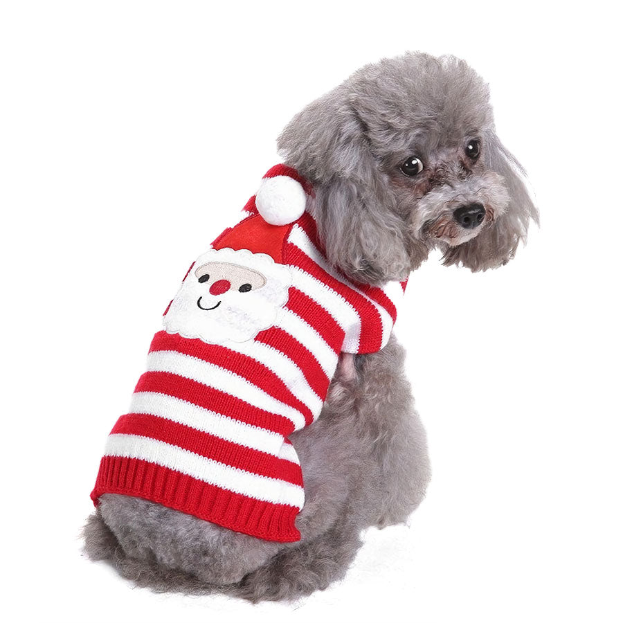 Adorable Gray Poodle wearing the ribbed Santa Claus Turtleneck for Dogs from online dog clothing store they made me wear it.