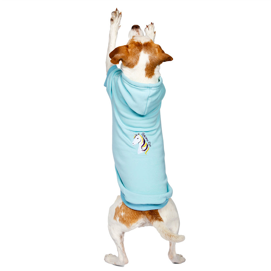 Jack Russell / Rat Terrier jumping up wearing the adorable Baby Blue Embroidered Unicorn Dog Hoodie from online dog clothing store they made me wear it.