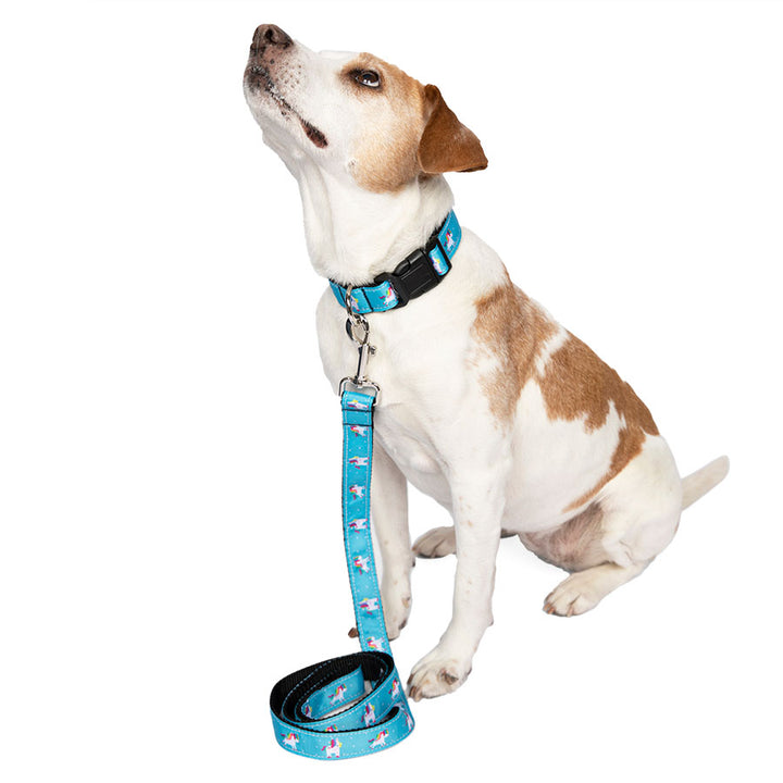 Jack Russell / Rat Terrier sitting down wearing the Magical Unicorn Dog Collar & Leash Set in Blue Rose. The perfect collar and leash set for medium and large dog breeds. Shop accessories from online dog clothing store they made me wear it.
