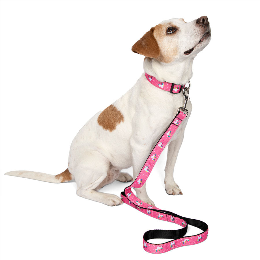 Jack Russell / Rat Terrier sitting down wearing the Magical Unicorn Dog Collar & Leash Set in Party Pink. The perfect collar and leash set for medium and large dog breeds. Shop accessories from online dog clothing store they made me wear it.
