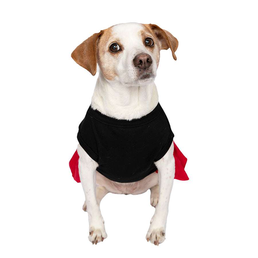 Beautiful Jack Russell / Rat Terrier mix sitting down and wearing the adorable Licorice Scarlet Little Angel Dog Dress from online posh puppy boutique they made me wear it.