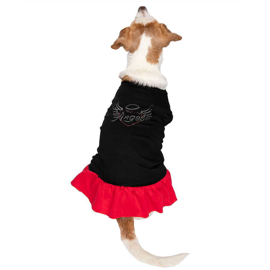 Jack Russell / Rat Terrier mix showing off the back of the adorable Licorice Scarlet Little Angel Dog Dress from online posh puppy boutique they made me wear it.