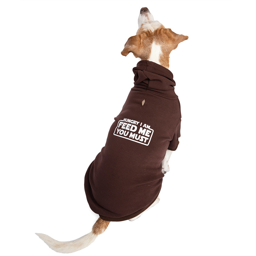 Jack Russell / Rat Terrier sitting down and showing off the back of the awesome Hungry I Am Feed Me You Must Mocha Dog Hoodie inspired by Yoda from Star Wars from online dog clothing store they made me wear it.