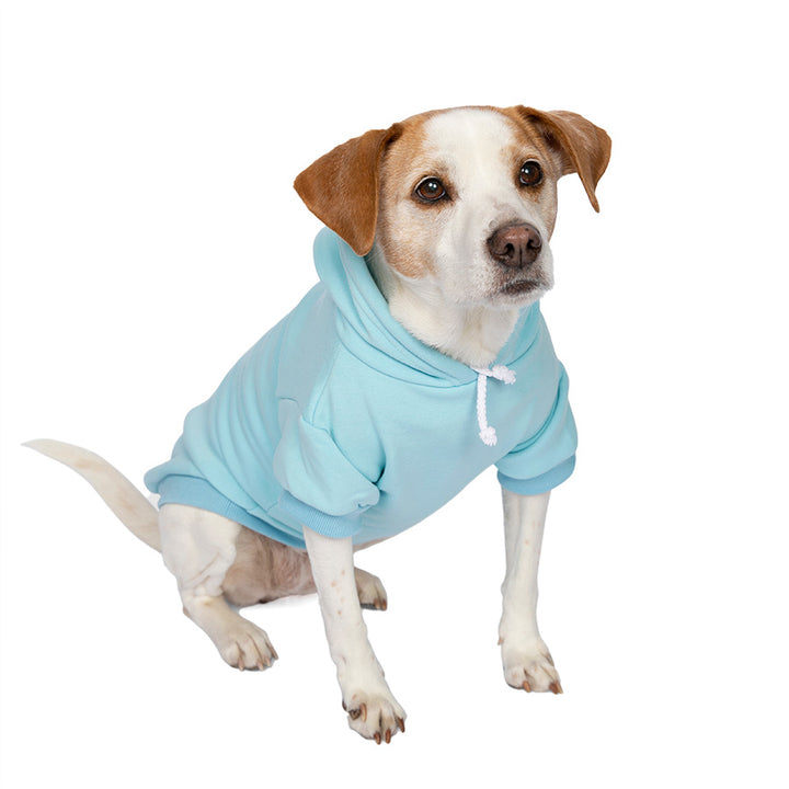 Jack Russell / Rat Terrier sitting down wearing the adorable Baby Blue Embroidered Unicorn Dog Hoodie from online dog clothing store they made me wear it.