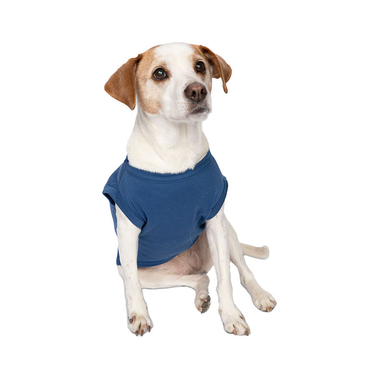 Jack Russell Rat Terrier sitting down wearing the Cosmic Blue Who Rescued Who Dog Tee from online dog clothing they made me wear it.