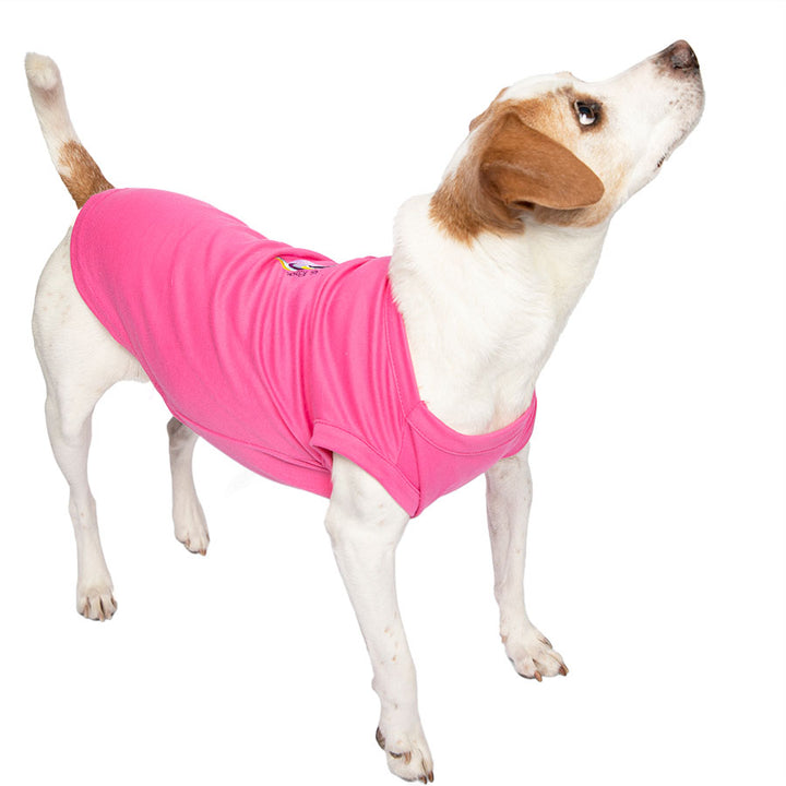 Jack Russell / Rat Terrier standing up wearing the Embroidered Unicorns Rock Hot Pink Dog Tee from online dog clothing store they made me wear it.