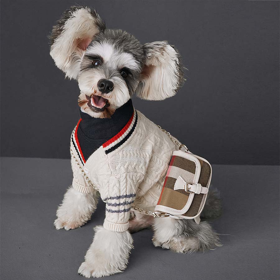 Preppy shop dog coats