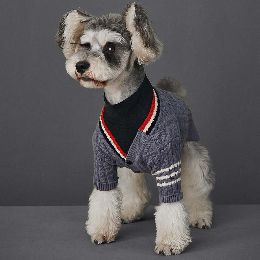 Preppy dog outlet sweaters