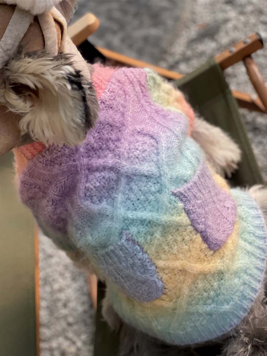 Papillon Maltese showing off the back of the adorable Rainbow Wool-Knitted Dog Cardigan from online dog clothing store they made me wear it.