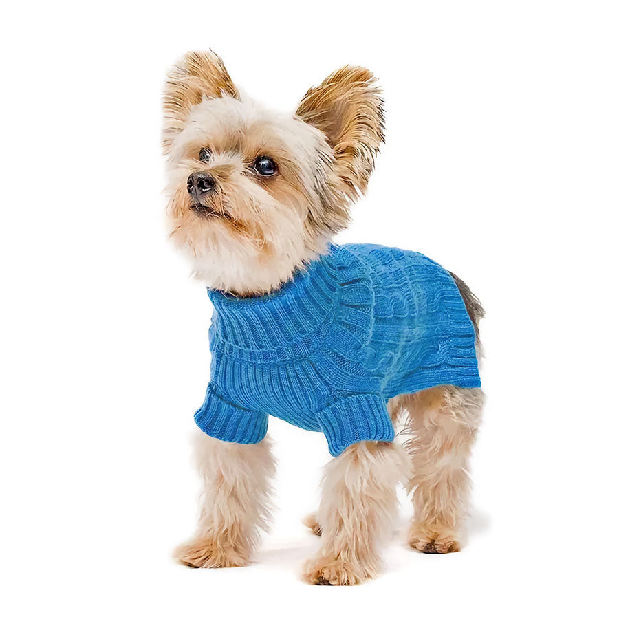 Papillon and Yorkshire Terrier mix standing up wearing the Classic Dog Turtleneck in Carolina Blue from online dog clothing store they made me wear it.