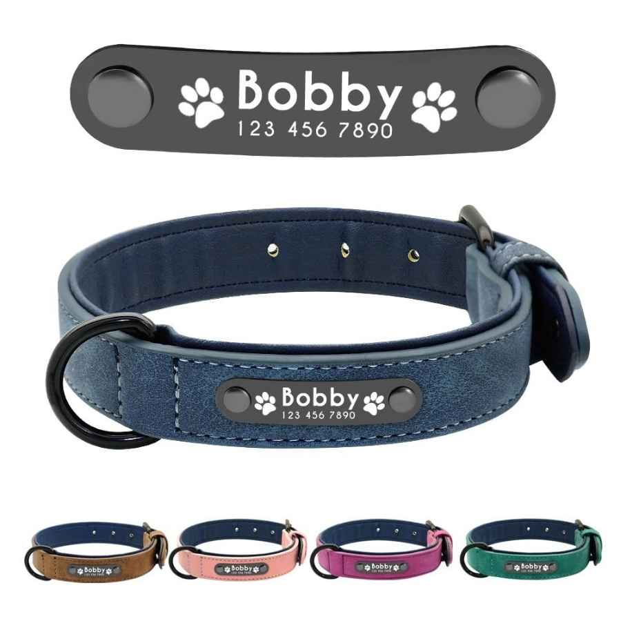 Personalized Leather Dog Collar in Steel Blue from online dog clothing store they made me wear it. Ideal for an English Bulldog, French Bulldog, Pug, Beagle, Poodle, Dachshund, Terrier, Labrador, German Shepherd and other small, medium & large dog breeds.