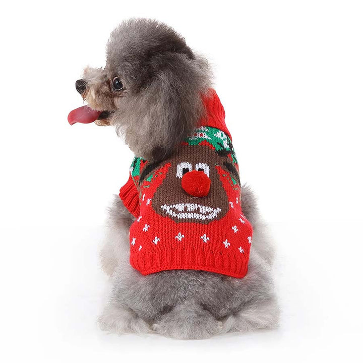 Adorable Poodle showing off the back of the Rudolph Christmas Dog Sweater from online dog clothing store they made me wear it.