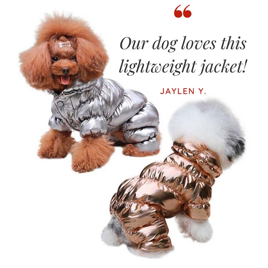 Customer Quote: Our dog loves this lighteight jacket! Written by Jaylen Y. Metallic Silver and Electric Gold Bubble Dog Jacket from online dog clothing store.