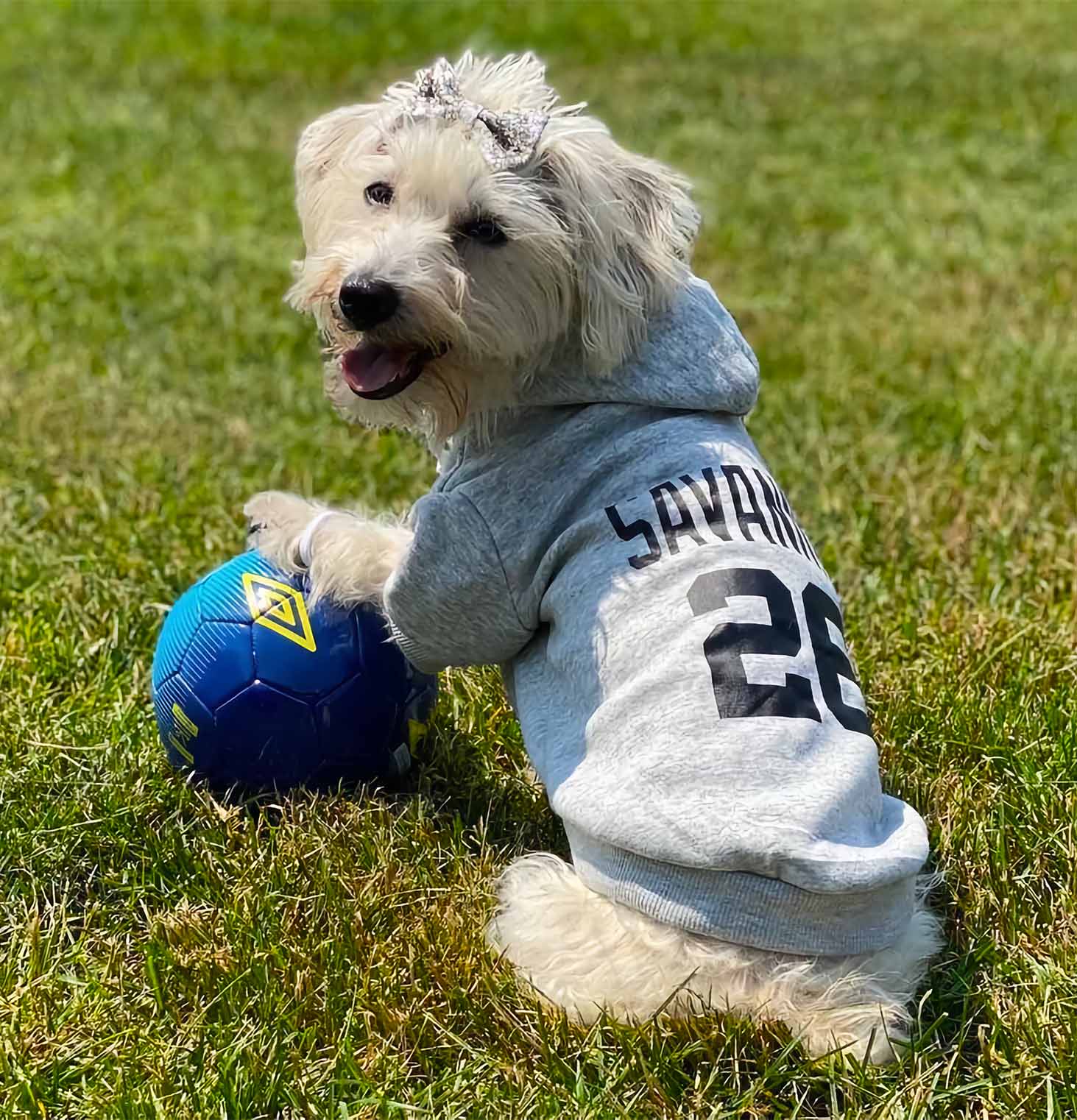 Dog Clothes, Costumes and Luxe Apparel Elevate your pups style!