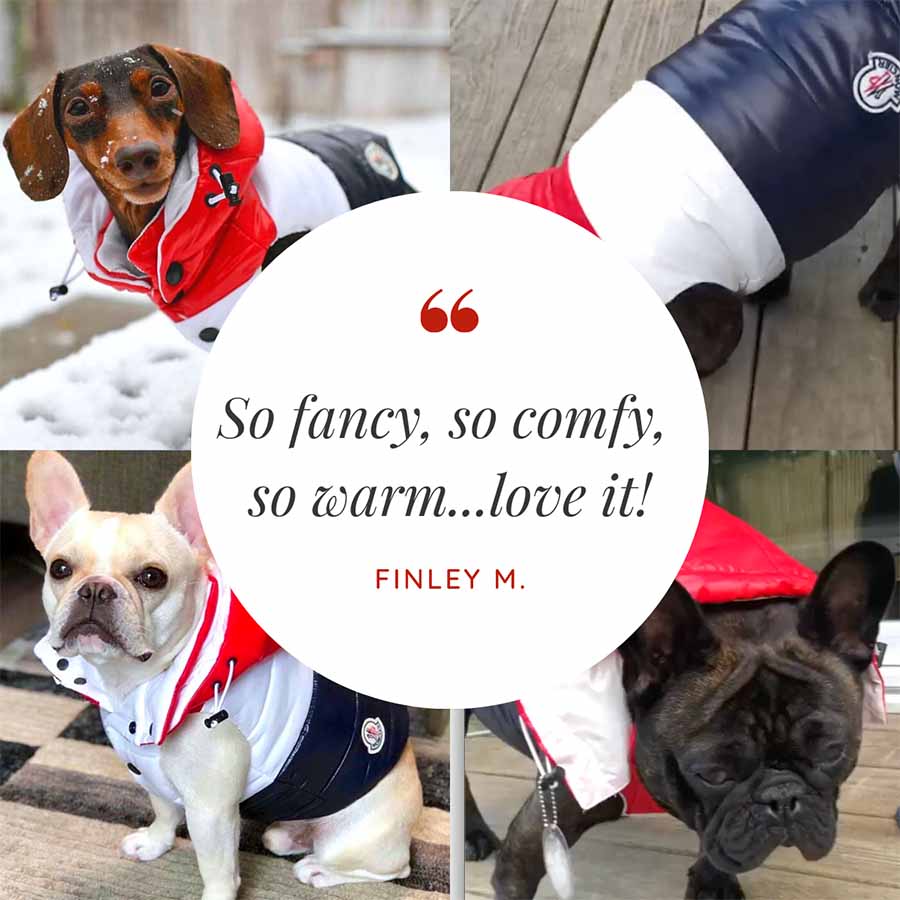 Customer Quote: So fancy, so comfy, so warm...love it! Written by Finley M. Puffer Dog Jacket with a Detachable Hood from online clothing dog store they made me wear it.