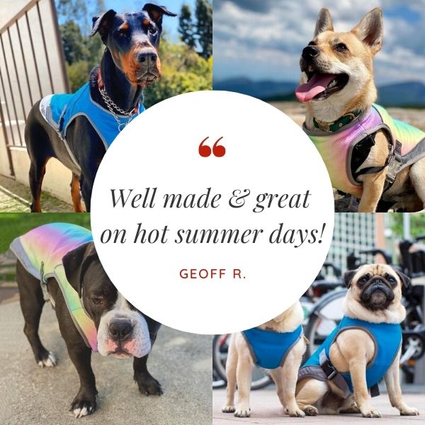 Customer Quote: Well made and great on hot summer days! Written by Geoff R. Dog Cooling Vest from online dog clothing store they made me wear it.