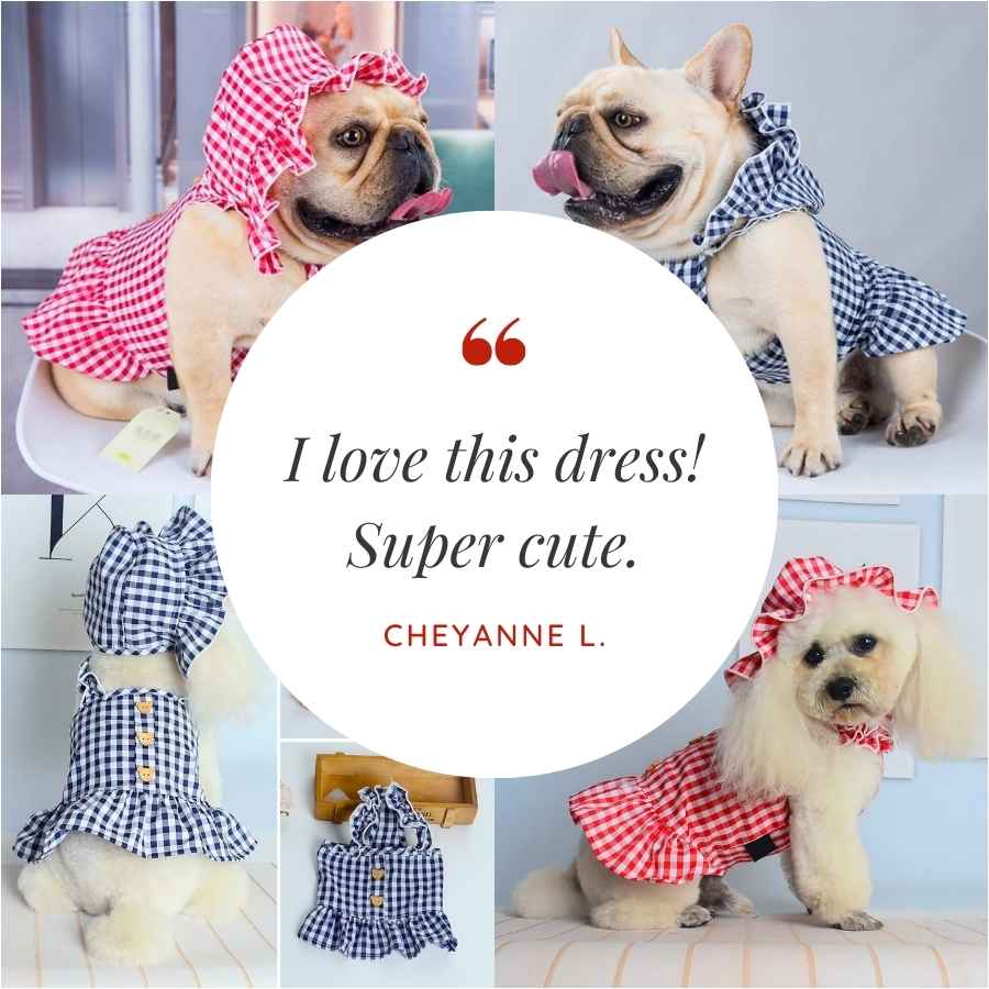 Pet dress clearance shop near me