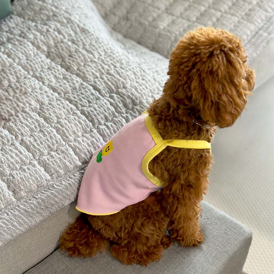 Toy Poodle sitting down wearing Tulip Camisole for Dogs in Pink from online dog clothing store from they made me wear it.