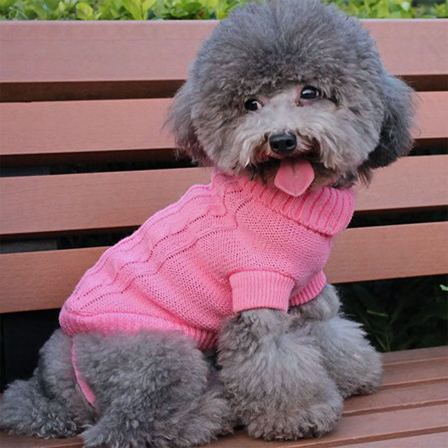 Toy Poodle sitting down with tongue sticking out, sporting the Classic Dog Turtleneck in Cerise from online dog clothing store they made me wear it.
