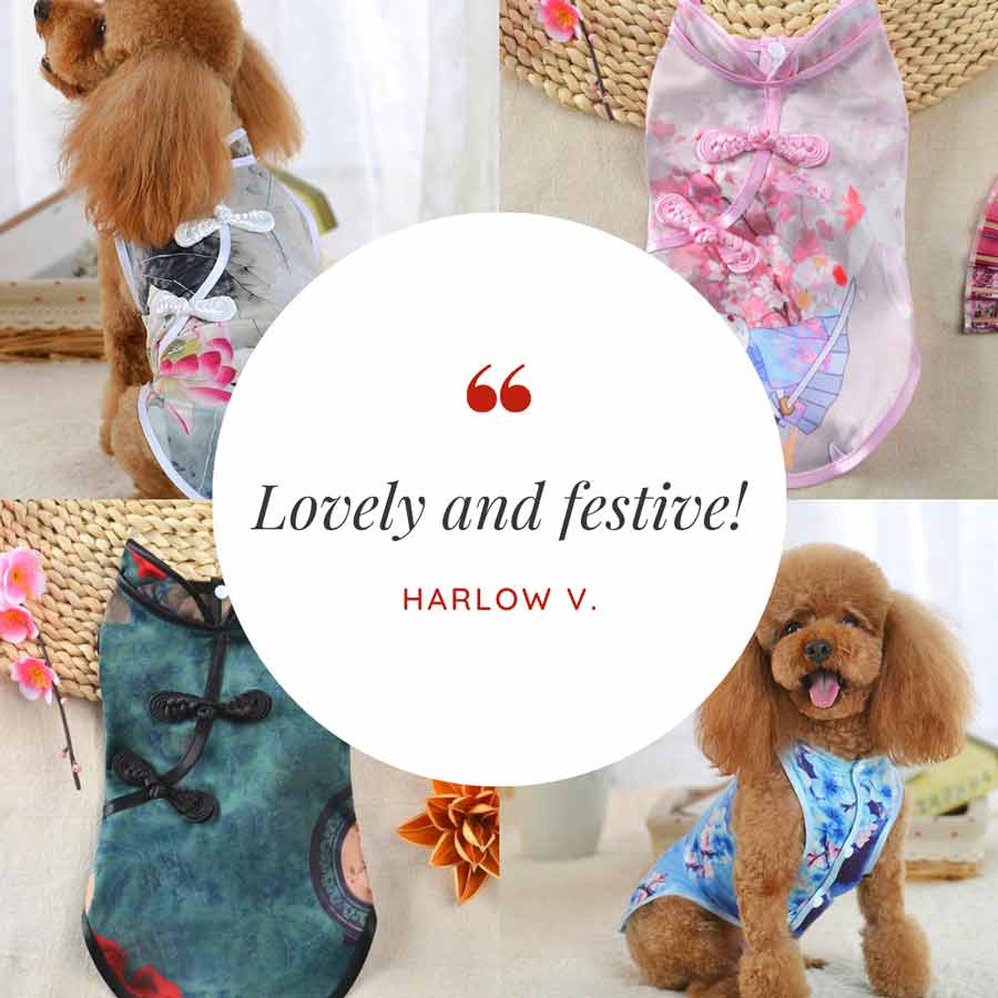 Customer Quote: Lovely and festive! Written by Harlow V. Chinese Cheongsam Dog Dress from online posh puppy boutique they made me wear it.
