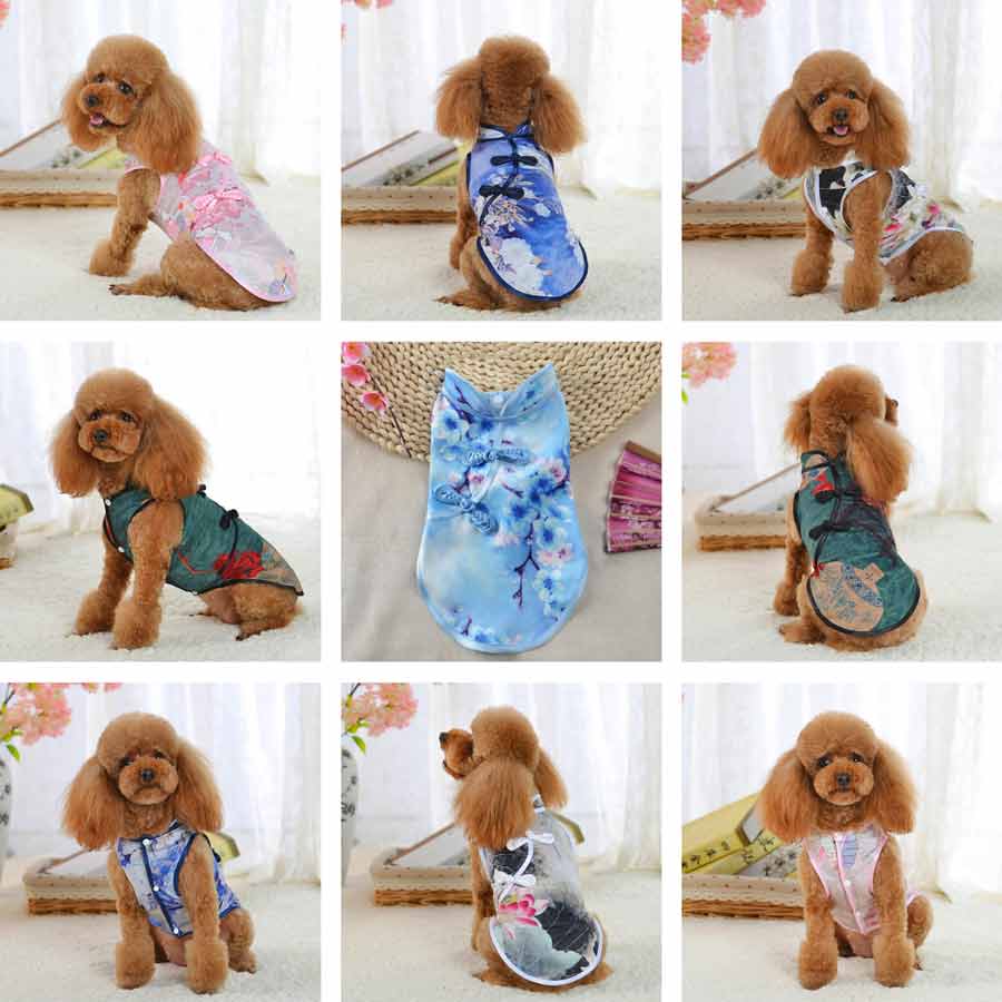 Toy Poodle wearing the Traditional Qipao Chinese Cheongsam Dog Dresses. Available in Jade, Azure, Sapphire, Slate and Orchid from online posh puppy boutique they made me wear it.