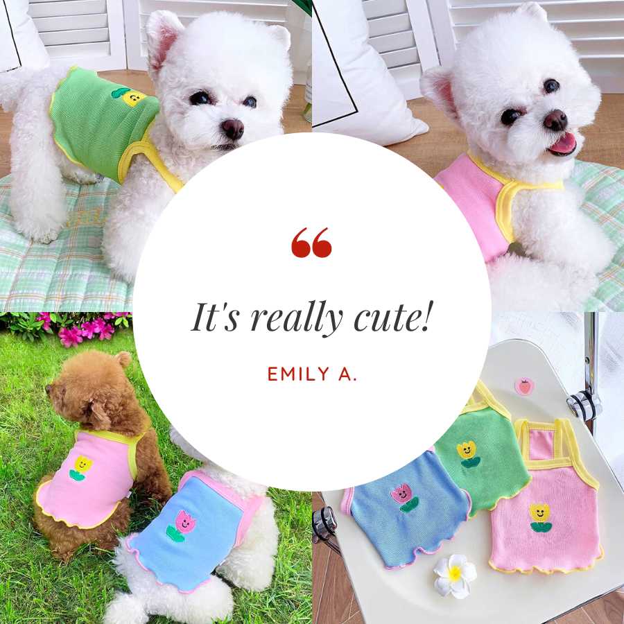 Customer Review by Emily A. for Tulip Camisole for Dogs from online dog clothing store from they made me wear it.