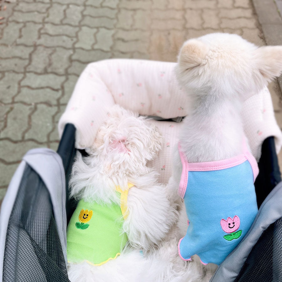 Two small dogs riding in a stroller wearing the adorable Tulip Camisole for Dogs in Green & Blue from online dog clothing store they made me wear it.