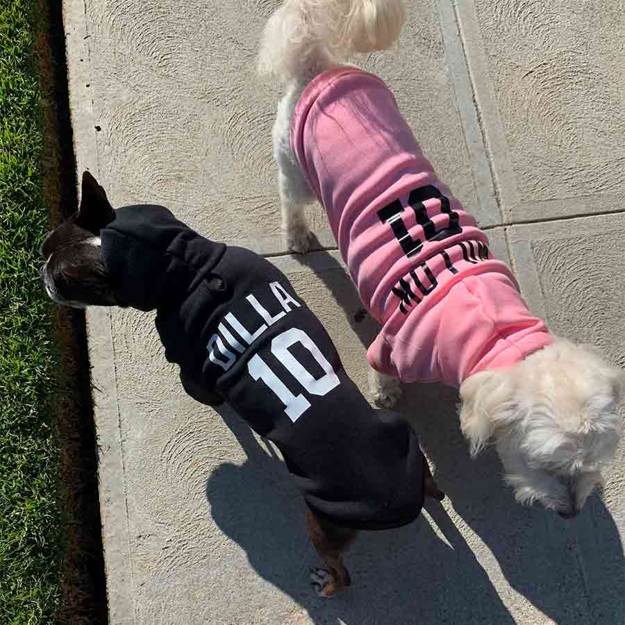 Dilla, a French Bulldog & Boston Terrier mix and Willow, a Bichon Frise, Maltese and Havanese mix, stand on the sidewalk wearing the Personalized Dog Hoodie in Ebony and Blush from online dog clothing store they made me wear it.
