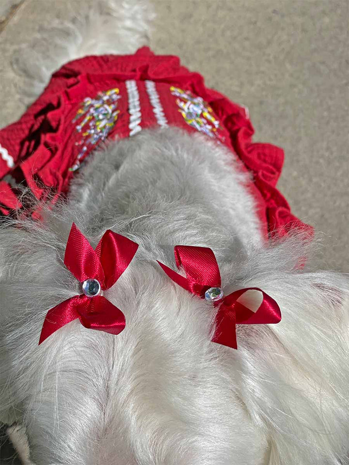 Willow, a Bichon Frise, Maltese Havanese mix showing off her gorgeous red hair bows, and the back of the beautiful Fiesta Dog Dress in rojo from online dog clothing store they made me wear it.