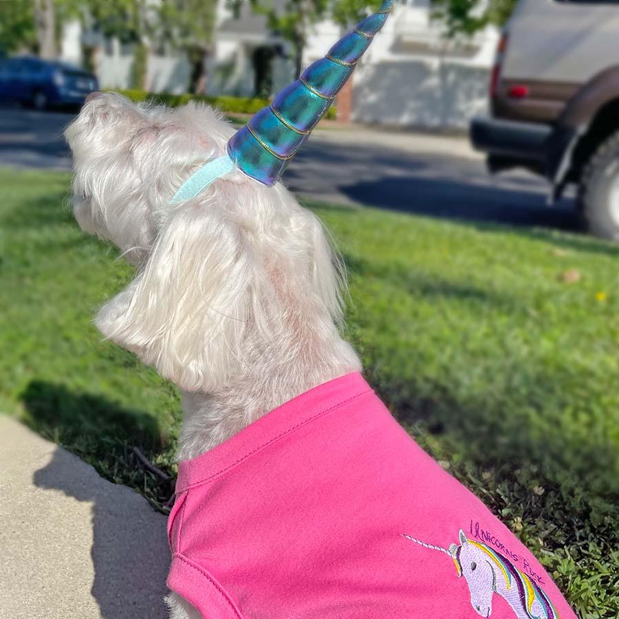 Unicorn headband hotsell for dogs