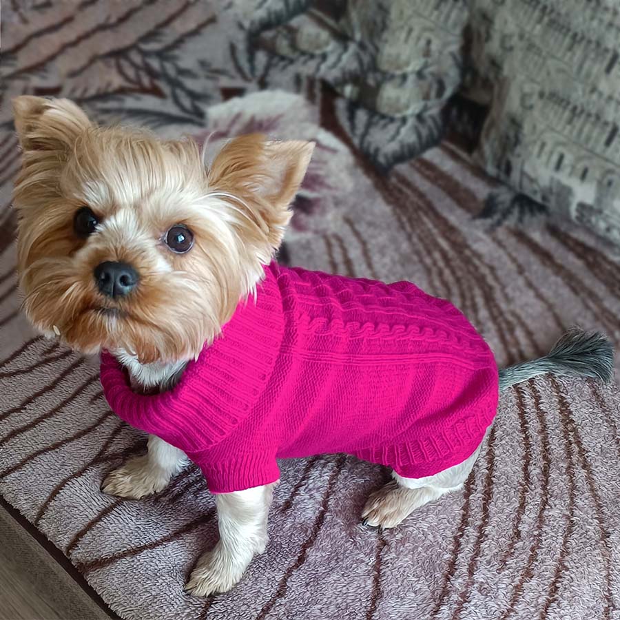 Yorkie puppy mix sitting down wearing the Classic Dog Turtleneck in Deep Pink from online dog clothing store they made me wear it.