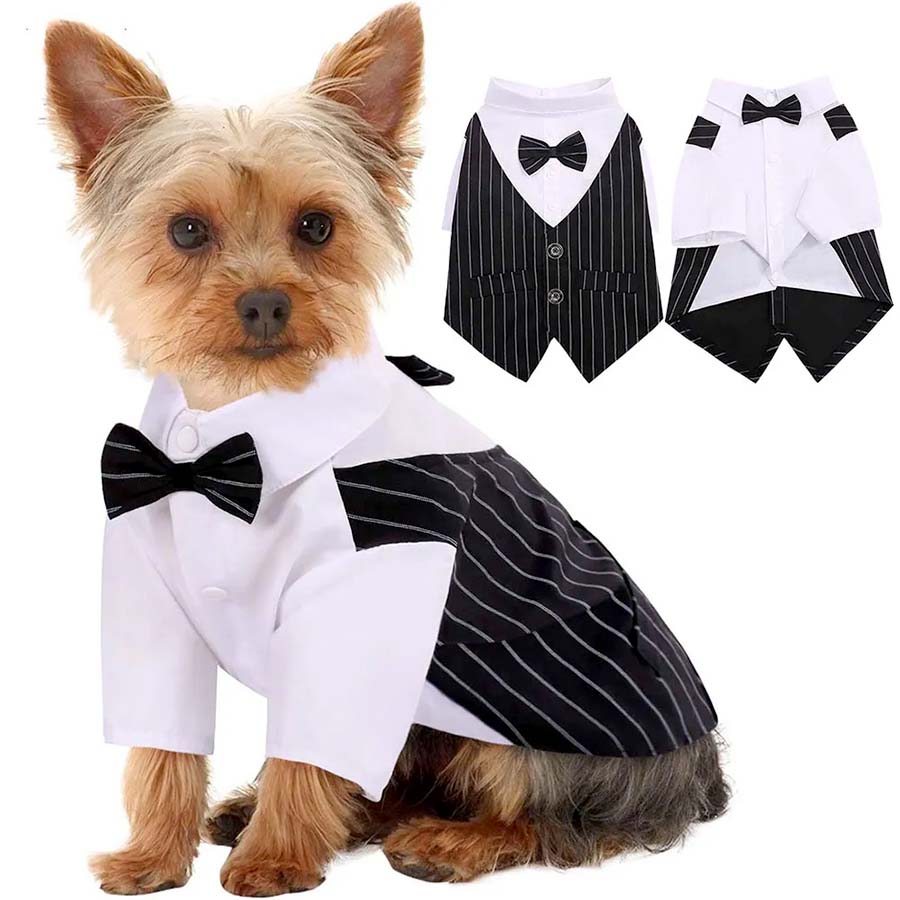 3-Piece Suit for Dogs - Dog Suit for Weddings & Formal Dog Clothes Charcoal Suit / 2XL