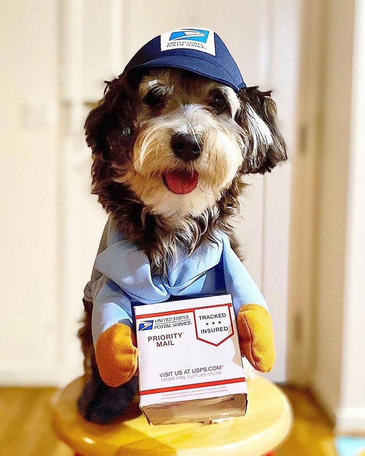 Mail Carrier Dog Costume