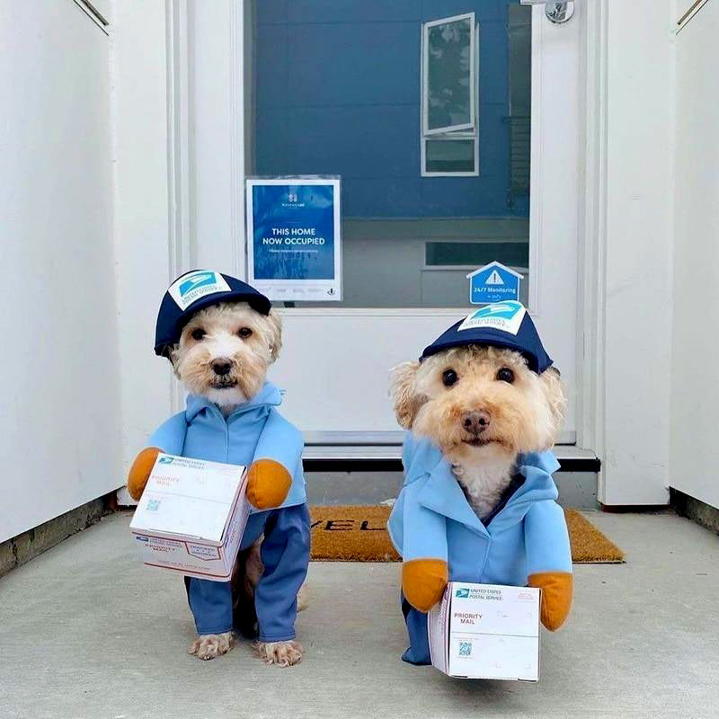 Mail Carrier Dog Costume