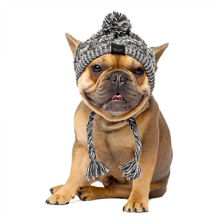 Adorable Frenchie sitting down with tongue out wearing Graphite Warm Me Up Dog Beanie from online dog clothing store they made me wear it.