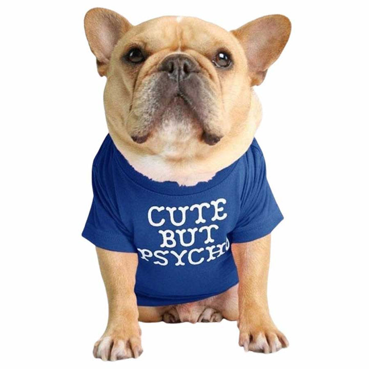 Cream French Bulldog wearing the Cute But Psycho Dog T-shirt in Cerulean from online dog clothing store they made me wear it.