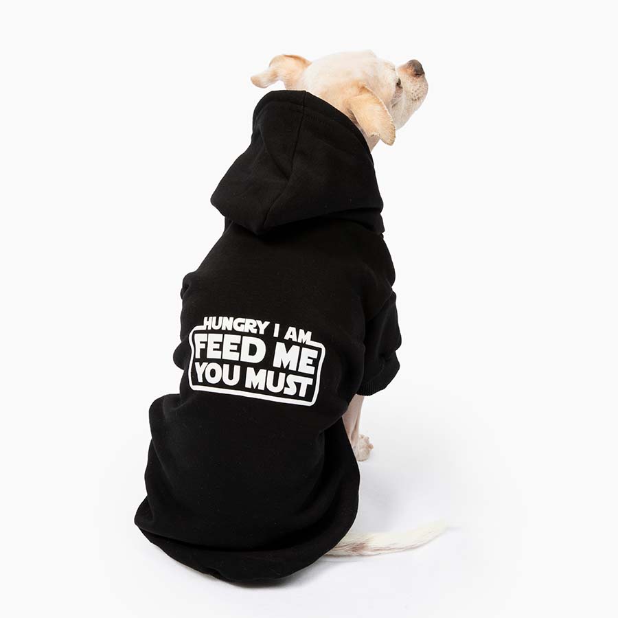 Chihuahua sitting down and showing off the back of the awesome Hungry I Am Feed Me You Must Black Dog Hoodie inspired by Yoda from Star Wars from online dog clothing store they made me wear it.