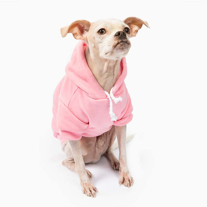 Chihuahua sitting down and wearing the adorable The Snuggle is Real Bubblegum Dog Hoodie from online dog clothing store they made me wear it.  Perfect Valentine’s Day outfit for your dog. The Perfect Valentine’s Day outfit for your dog.