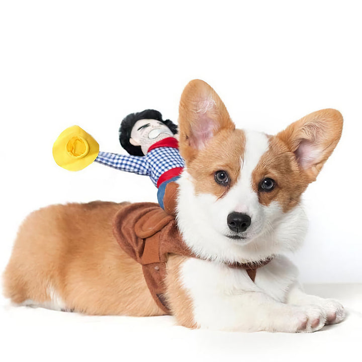Corgi laying down wearing the Ride’ Em Cowboy Dog Costume from online dog costume shop they made me wear it.