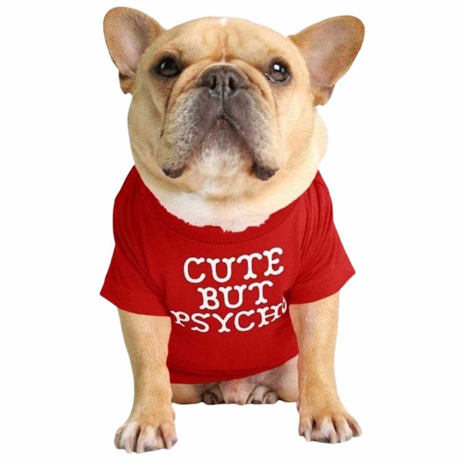 Frenchie t 2024 shirts for dogs