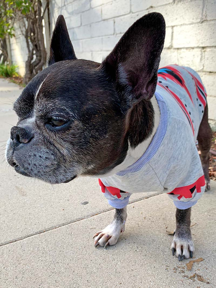 Dilla, a French Bulldog and Boston Terrier mix wearing the adorable Southwestern Dog Sweater in the color Sagebrush from online dog clothing store they made me wear it.