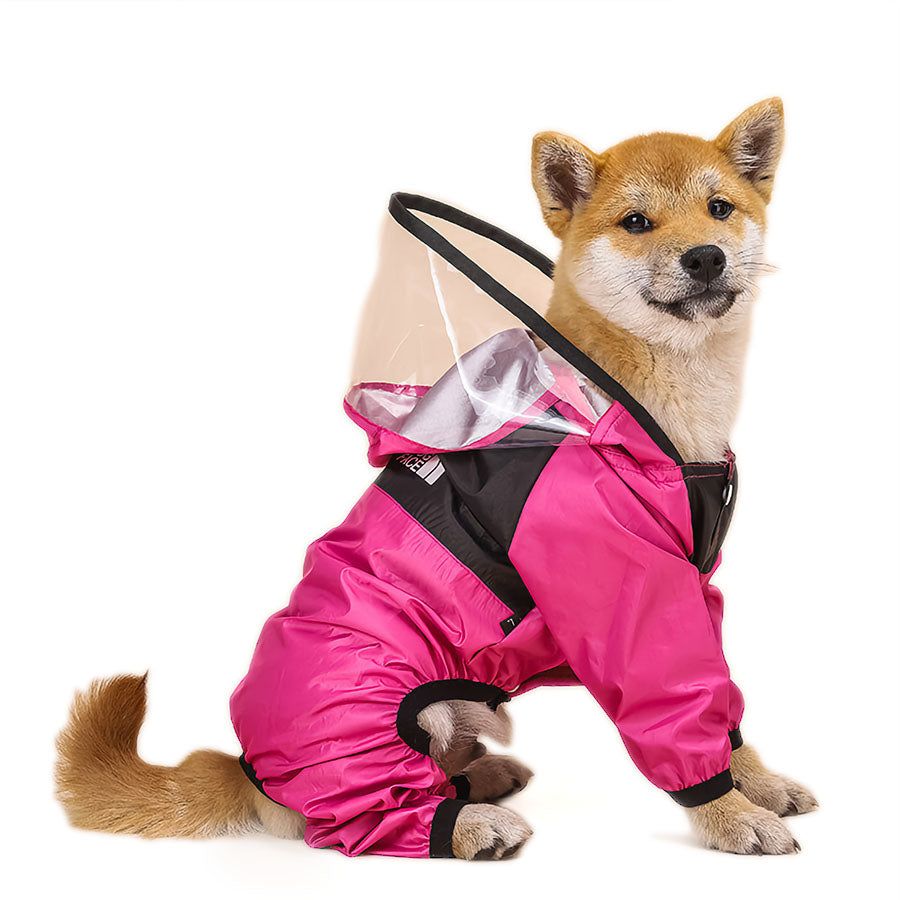 Shiba Inu wearing the adorable bright pink Dog Face Raincoat from online dog clothing storey they made me wear it.
