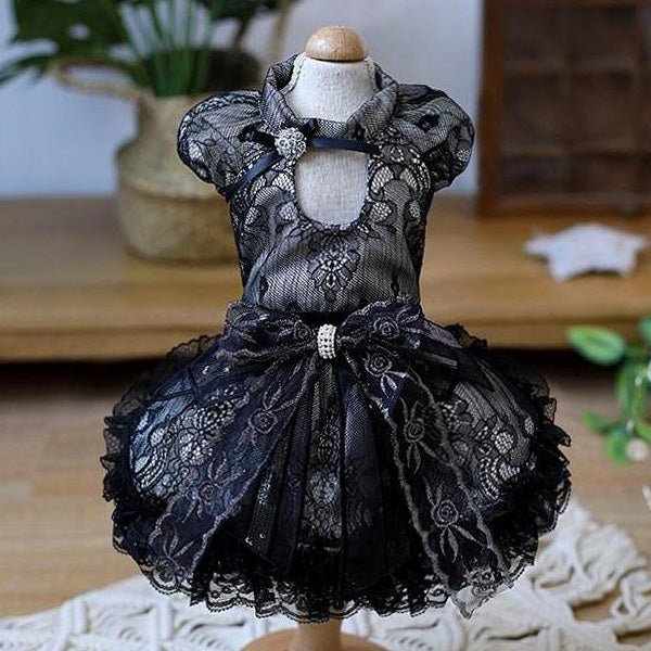 Elegant Black Lace Dog Dress