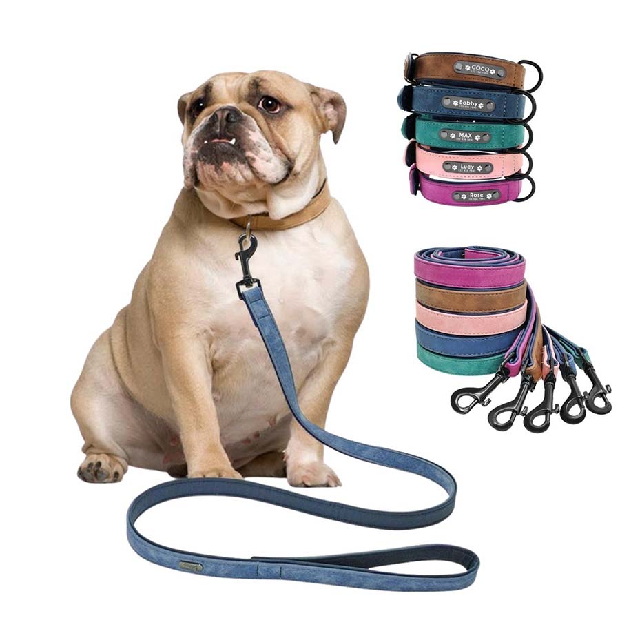 English Bulldog wearing the beautiful Personalized Leather Dog Collar in Milk Chocolate and Leash in Steel Blue from online dog clothing store they made me wear it. Available in 5 different vibrant colors.