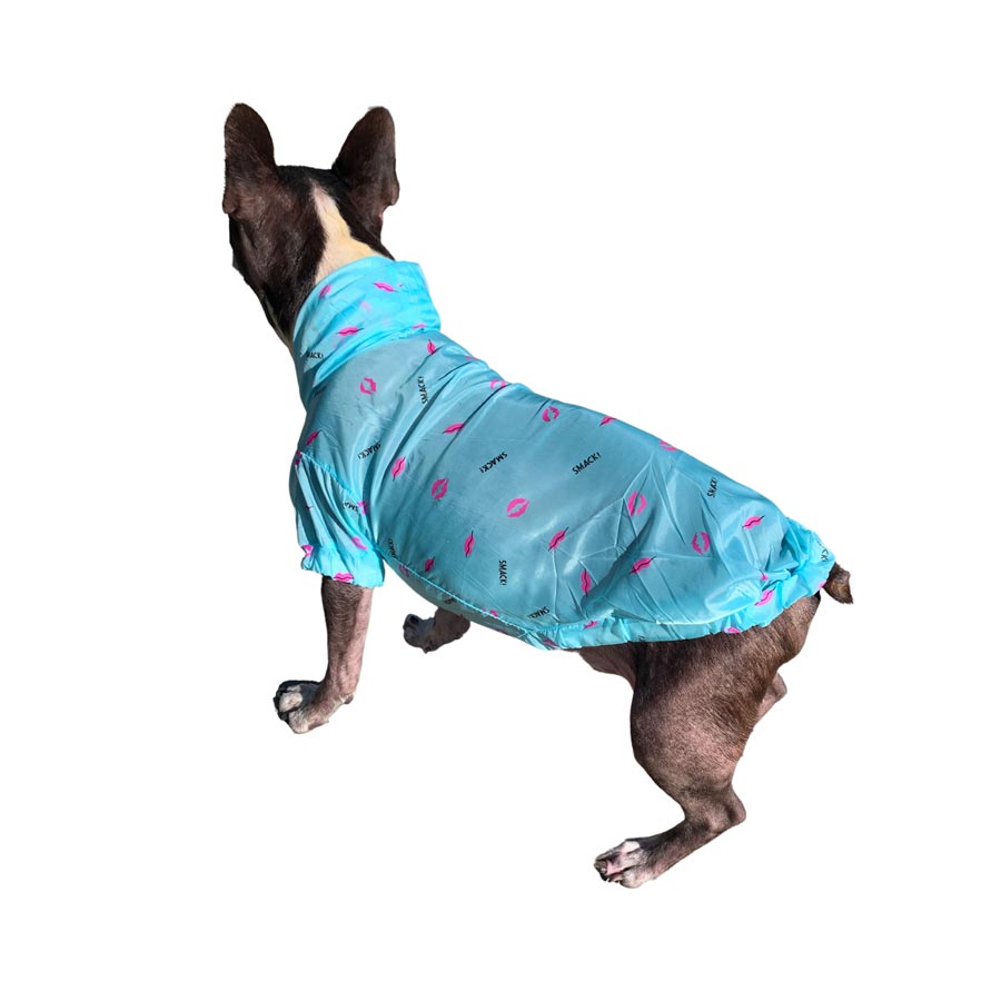 French Bulldog and Boston Terrier mix, named Dilla, standing outside in Los Angeles, California, back view, wearing the Capri Anti-UV Sun Protection Dog Hoodie from online dog clothing store they made me wear it.