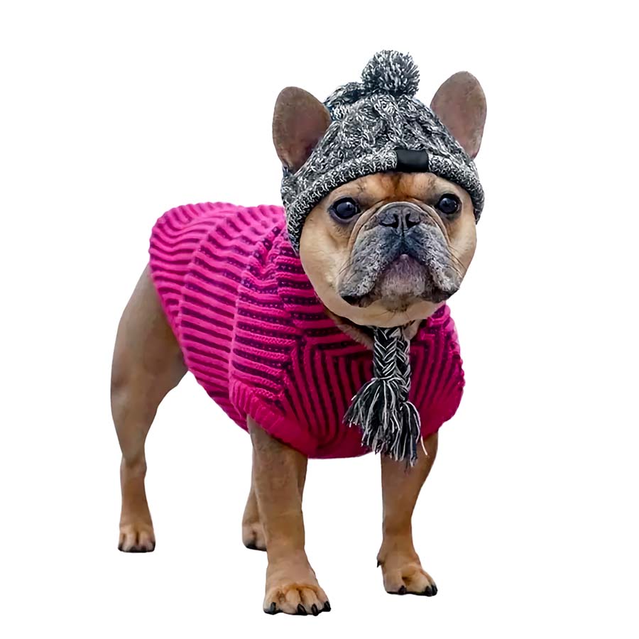 French Bulldog standing up wearing pink striped dog sweater and Graphite Warm Me Up Dog Beanie from online dog clothing store they made me wear it.